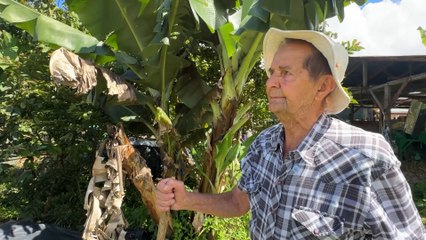 mqn-El guardián de la milpa: así vive Gebito, el agricultor que convirtió la tierra en su destino-211125