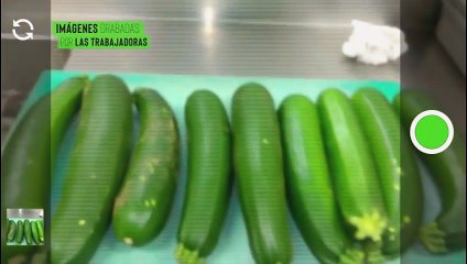 ¿Te lo vas a Comer? El negocio de la comida de nuestros mayores