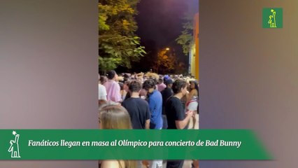 Fanáticos llegan en masa al Olímpico para concierto de Bad Bunny