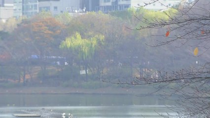 [날씨] 절기 '소설'이지만 예년보다 포근...동해안 산불 유의 / YTN