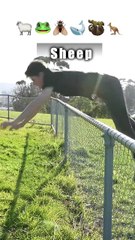 How Animals Get Over a Fence (With Emojis) 😂