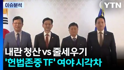 내란 청산 vs 줄세우기...'헌법존중 TF' 여야 극명한 시각차 / YTN