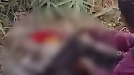 झाड़ियों में मिला नवजात शिशु का शव