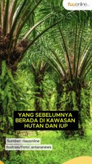 Pertama Kali di Siak, Pemerintah Resmi Legalkan Ribuan Lahan Sawit Rakyat