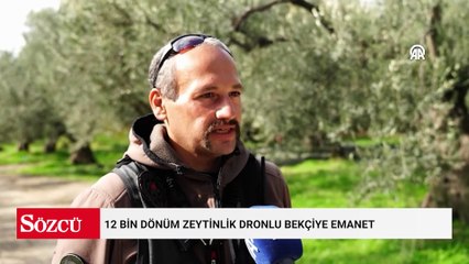 Hasat öncesi 12 bin dönümlük alan korumaya alındı: 24 saat nöbet tutuluyor