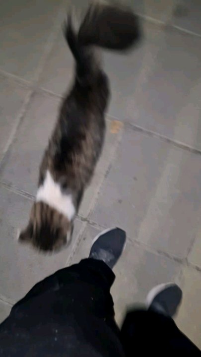 i have new friend