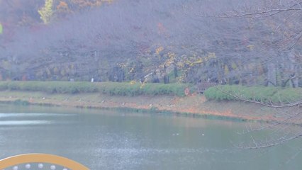 [날씨] 절기 소설, 예년보다 포근...동해안 건조, 산불 조심 / YTN