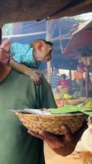 Monkey rides dog to market to buy food  (1)