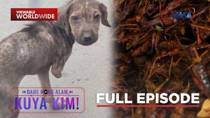 Aspin na putol ang isang binti, na-rescue!; Tipaklong, puwedeng kainin?! | Dami Mong Alam, Kuya Kim!