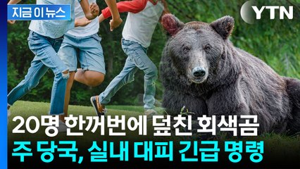 "이 곰은 절대 찾으러 나서지 마라" 캐나다 원주민 공동체의 섬뜩한 경고 [지금이뉴스] / YTN