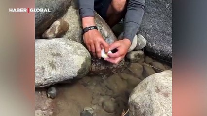 Sadece bir yumurtayla devasa balık yakalayan adamın görüntüleri viral oldu