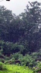 Beautiful rainy day status l monsoon season l barish whatsapp status