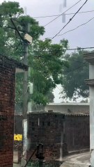 Beautiful rainy day status l monsoon season l barish whatsapp status