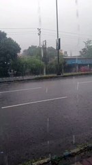 Beautiful rainy day status l monsoon season l barish whatsapp status