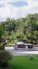 One Night One Baby One Forever Chinese Drama