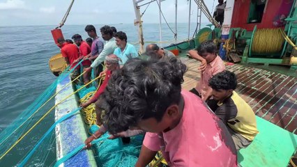 Gulf Deep Waters Hunt — Capturing the Ocean’s Elite Catch