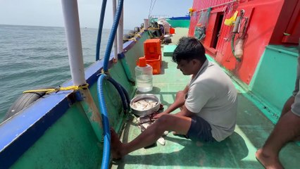 Epic Gulf Strike — Hunting the Biggest Ocean Titans