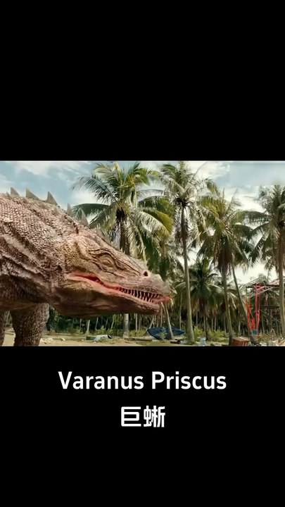 The woman's screams attracted the monitor lizard! #巨蜥 #VaranusPriscus #优酷电影 #youkumovie