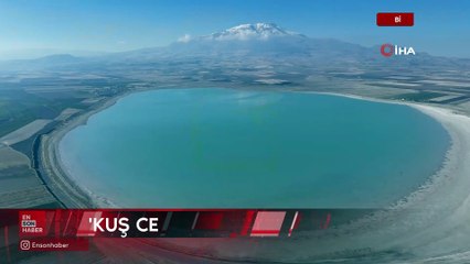 Bitlis'te kuş cenneti Arin Gölü gün geçtikçe alan kaybediyor