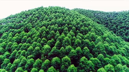 ĐỘI CHỐNG KHỦNG BỐ LIỆP ẢNH 2 - Tập 11 (Lồng Tiếng)