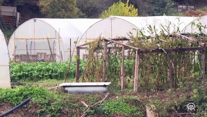 İstanbul'un kalabalığına birkaç kilometre uzaklıkta doğal köy yaşamı sürüyor