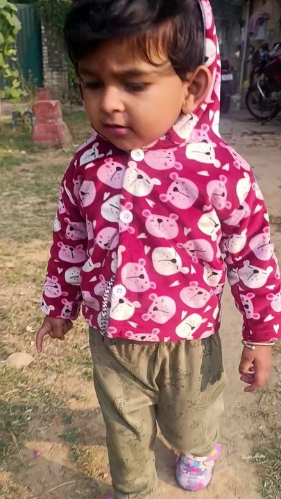 दीदी स्कूल गई है // My older sister has gone to school