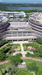 Ms. Doctor and Her Hidden Billionaire Husband - Full Movie HD