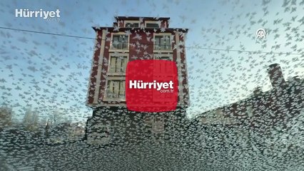 Ardahan'da Kura Nehri'nin yüzeyi buz tutmaya başladı