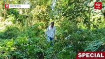 বন, বন্যপ্ৰাণী আৰু পৰিৱেশ সুৰক্ষাৰ বাবে সমৰ্পিত এগৰাকী শিক্ষক, নিজৰ মাটিত গঢ়িছে অৰণ্য