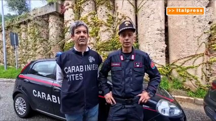 Scimpanzé viveva in casa come un animale domestico: scoperta shock a Cassibile