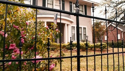 Cool Dog - Full Family Adventure Comedy Movie - Family Central