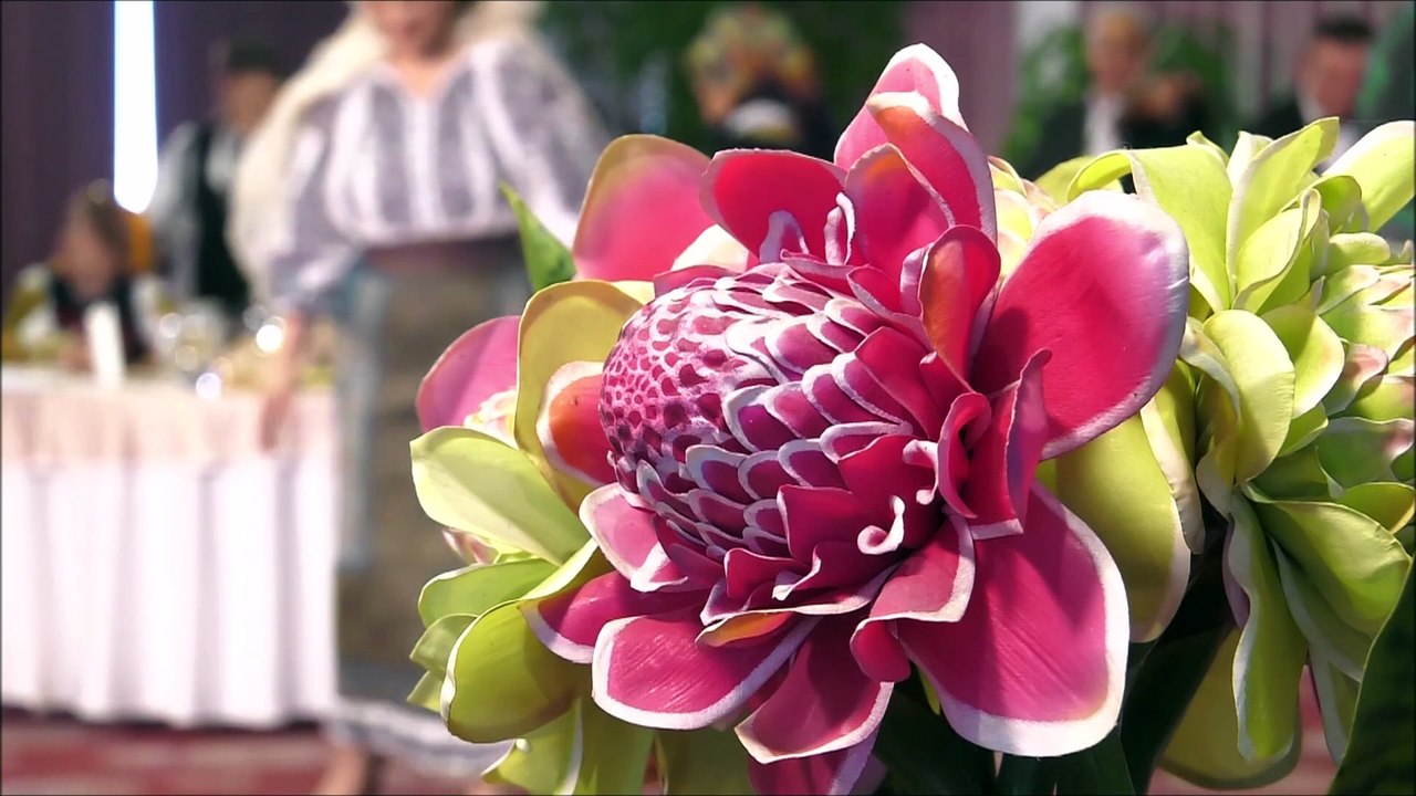 Elisabeta Turcu - Argesene, puiule (Cantec din suflet de roman - ETNO TV - 31.10.2025)