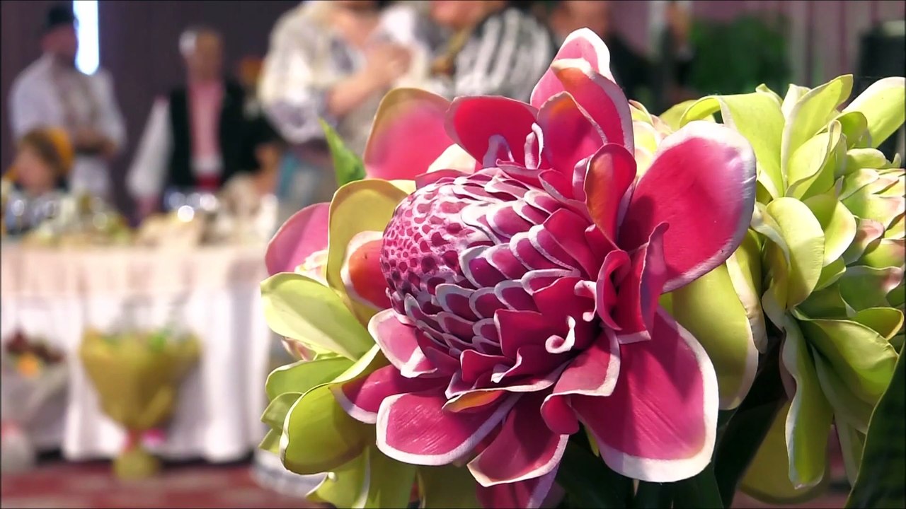 Elisabeta Turcu - La multi ani, omule bun (Cantec din suflet de roman - ETNO TV - 31.10.2025)