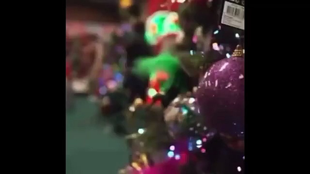 Veteran BBC newsreader bursts out laughing after making Christmas tree innuendo during live broadcast