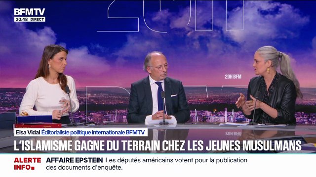 Les propos tenus par Agnès Rosique ont fait polémique dans le 20h BFM .