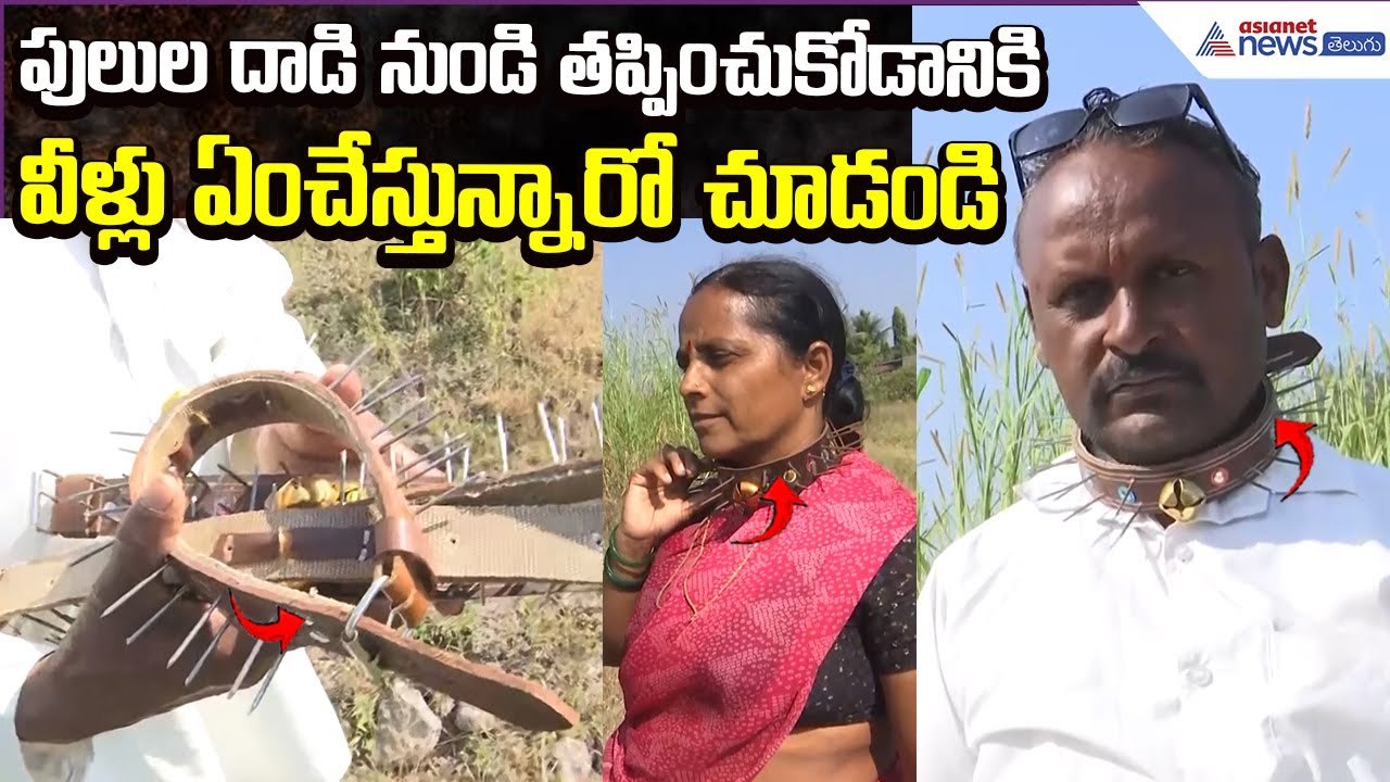 Leopard Attacks: పులులదాడి నుండి తప్పించుకోడానికిఆ వీళ్లుఏంచేస్తున్నారో చూడండి | Asianet News Telugu