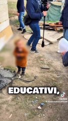 Ceccardi - Bambini con la propria famiglia nel bosco no, nel campo rom si?! Voi cosa ne pensate? (22.11.25)
