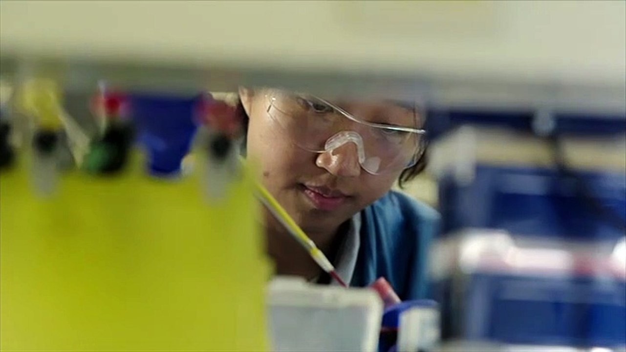 Cancer Detectives Finding the Cures Season 1 Episode 1
