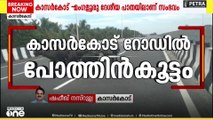 കാസർകോട്-മംഗളൂരു ദേശീയ പാത കൈയടക്കി പോത്തിൻകൂട്ടം