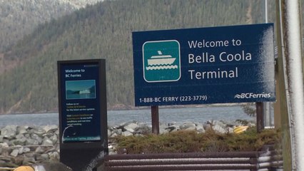 캐나다 회색곰 습격으로 초등생 등 11명 중경상 / YTN