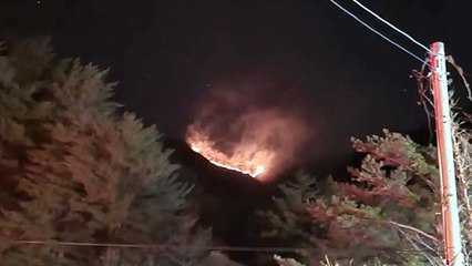 강원 양양 서림리 산불...인력 200명 투입해 진화 중 / YTN