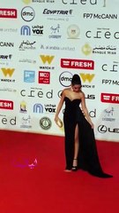 نسرين أمين تتألق في حفل ختام مهرجان القاهرة بإطلالة جذابة وأنيقة.