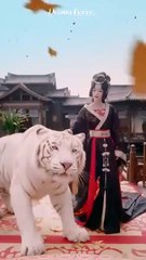 scorned beauty desperate men chinese drama