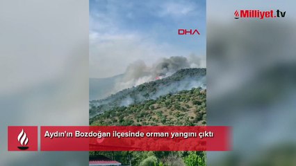 Aydın'da ziraat alanında çıkan yangın ormana sıçradı
