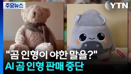 "우리 아이 곰 인형이 야한 말을?"...AI 곰 인형 판매 중단 / YTN