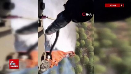 Aydın'da ziraat alanında başlayan yangın ormana sıçradı