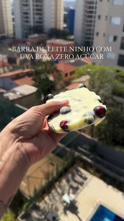BARRA DE LEITE NINHO COM UVA ROXA ZERO AÇÚCAR
