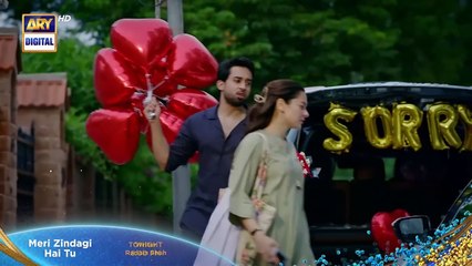 Meri Zindagi Hai Tu - Ep 05 Promo - Tonight At 08 PM - ARY Digital {14}