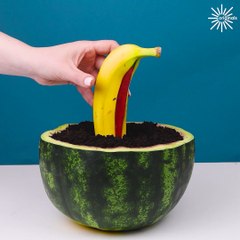 Simple kitchen life hacks you need!