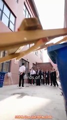 Still the Boss, Just Hit the Books ｜ DramaWave